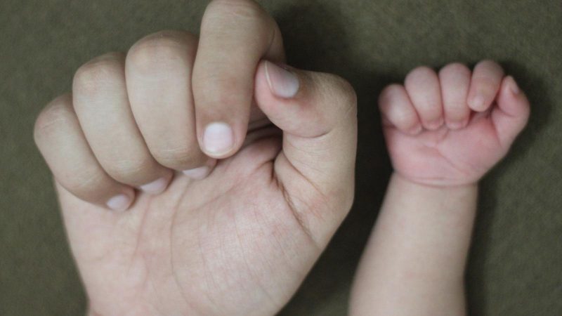 Os efeitos da adrenoleucodistrofia sobre as mães portadoras da mutação genética, ainda pouco investigados, já aparecem nos resultados preliminares de um levantamento epidemiológico na região Sul do Brasil realizado por pesquisadores do Setor de Ciências Biológicas da Universidade Federal do Paraná (UFPR). Foto: Ahmed Gomaa/Pixabay