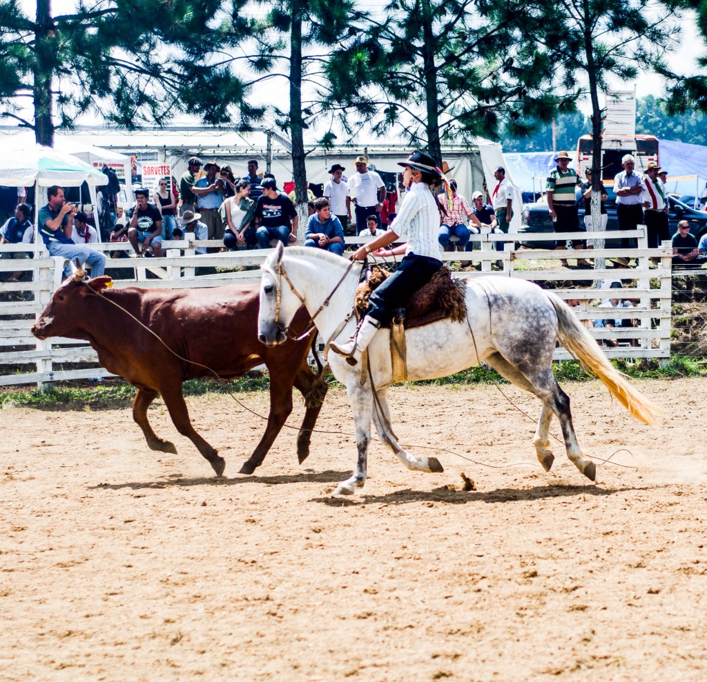 O tradicional mundo dos rodeios campeiros se abre para mulheres, pioneiras em um meio predominantemente masculino. Foto: Miriam Adelman