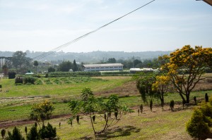 Fazenda do Canguiri (foto Marcos Solivan)