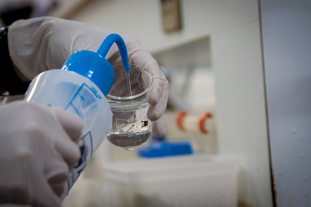 Imagem: Samira Chami Neves