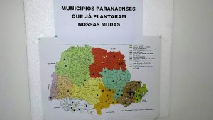Mapa das cidades onde já foram plantadas mudas doadas pela UFPR