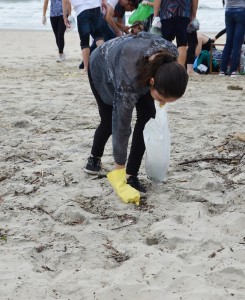 Alunos coletam lixo na praia (fotos divulgação Aspec/Bio)