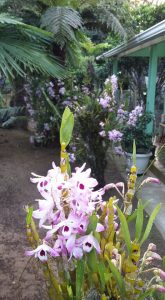 joselia-aparecida-andrade_4