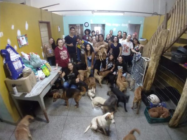 Estudantes de Química doaram ração para ONG DNA Animal. Fotos: Divulgação