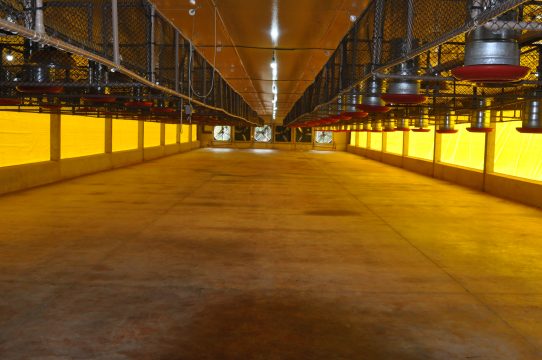 Espaço conta com aviário experimental para preparo de rações experimentais, armazenamento de equipamentos e criação de aves, além de laboratório de coleta e rendimento de carcaça e dormitório