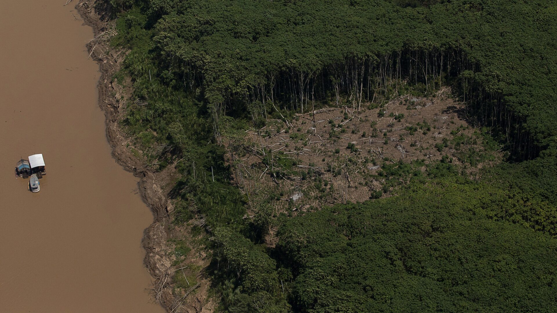 Proposto na Cop28, Arco da Restauração da Amazônia quer regenerar 24 milhões de hectares da floresta até 2050. Na foto, garimpo no rio Madeira e desmate no limite da Reserva do Lago do Cuniã, em agosto de 2020. Foto: Bruno Kelly/Amazônia Real/Flickr
