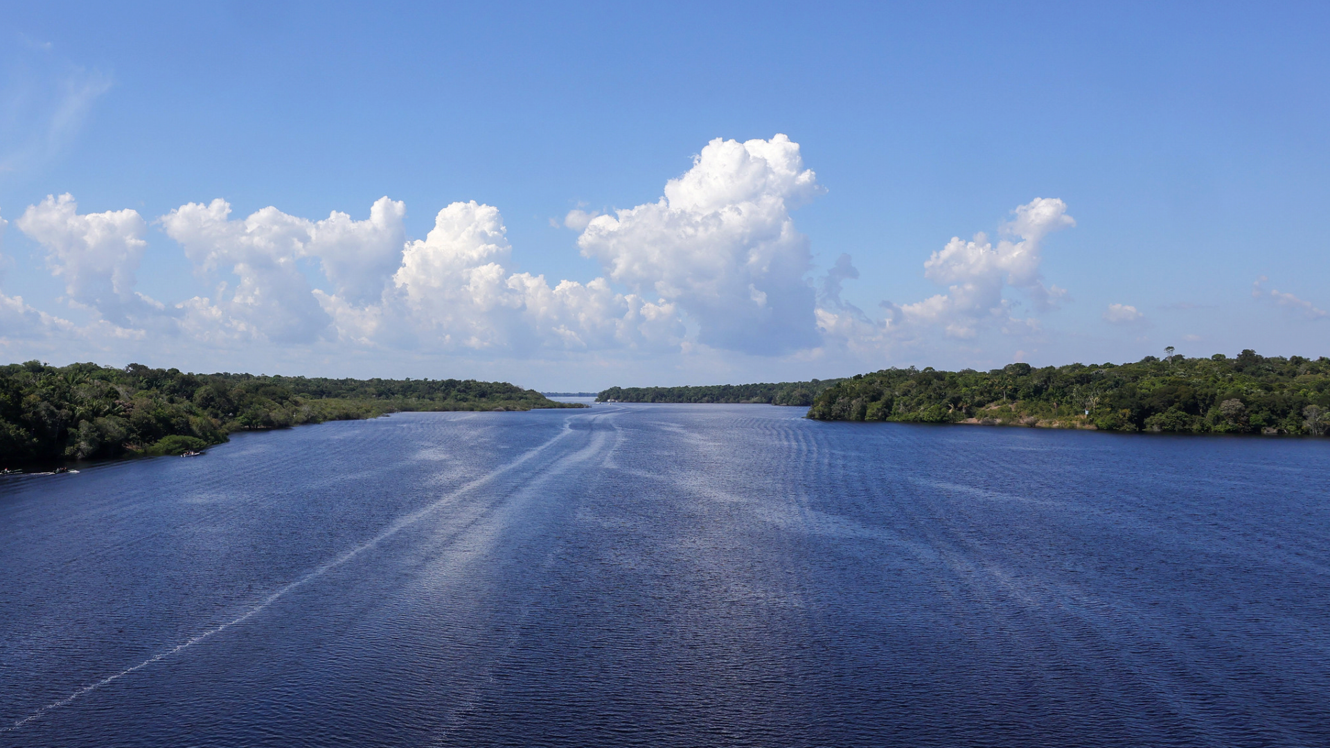 Floresta margeada pelo Rio Negro em Manaus. Foto: Fabio Rodrigues-Pozzebom/ABr